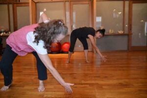 Movement therapy at James Fowler Physical Therapy in New York City